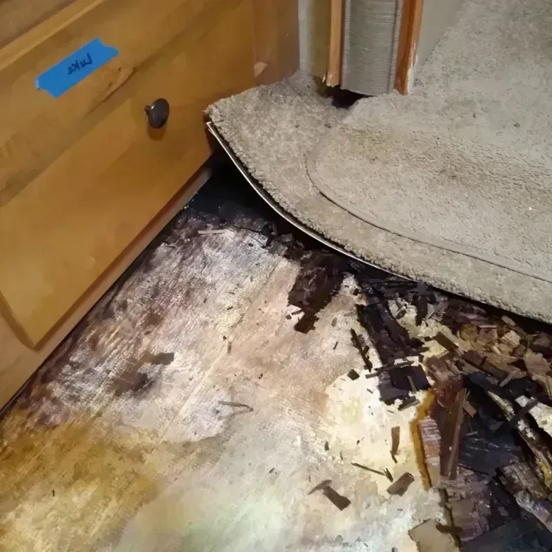 Wood Floor Water Damage in Greenville County, SC